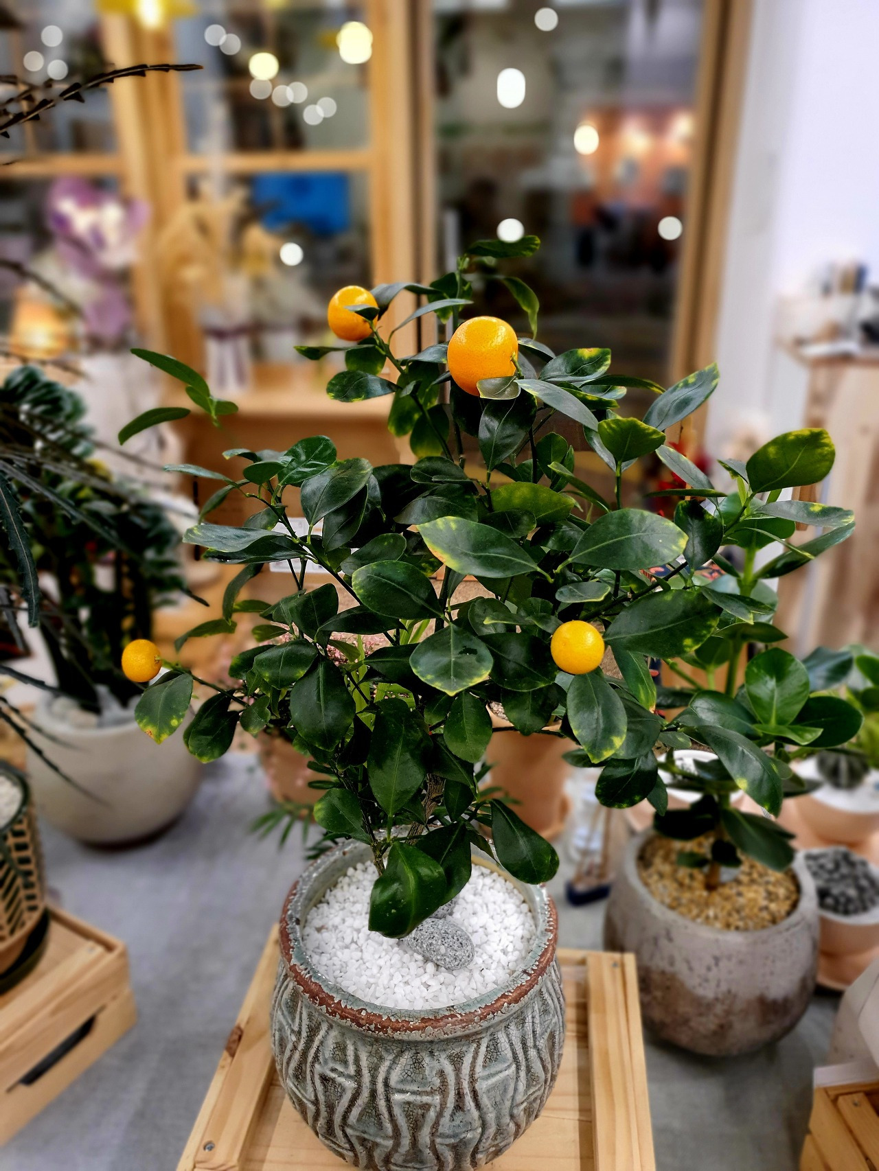 Unveiling The Secret: Tiktok'S Popular Fruit Exfoliant - gt03olh