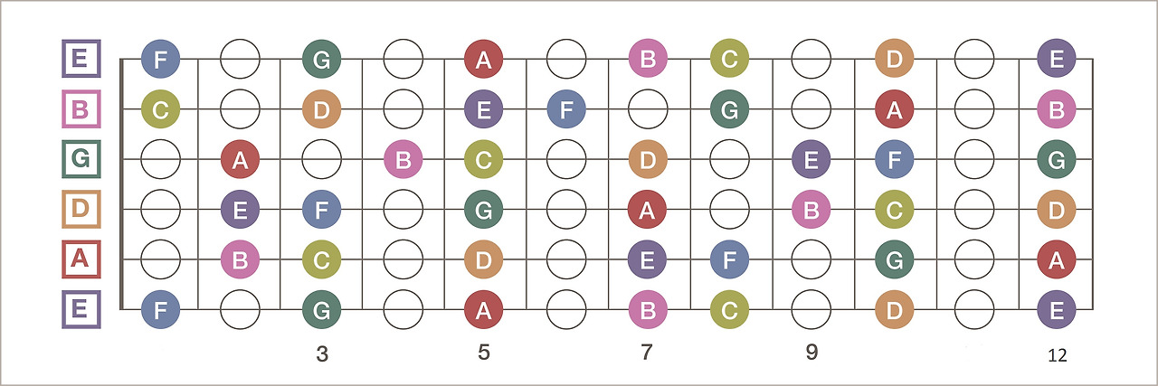 blank guitar neck diagram