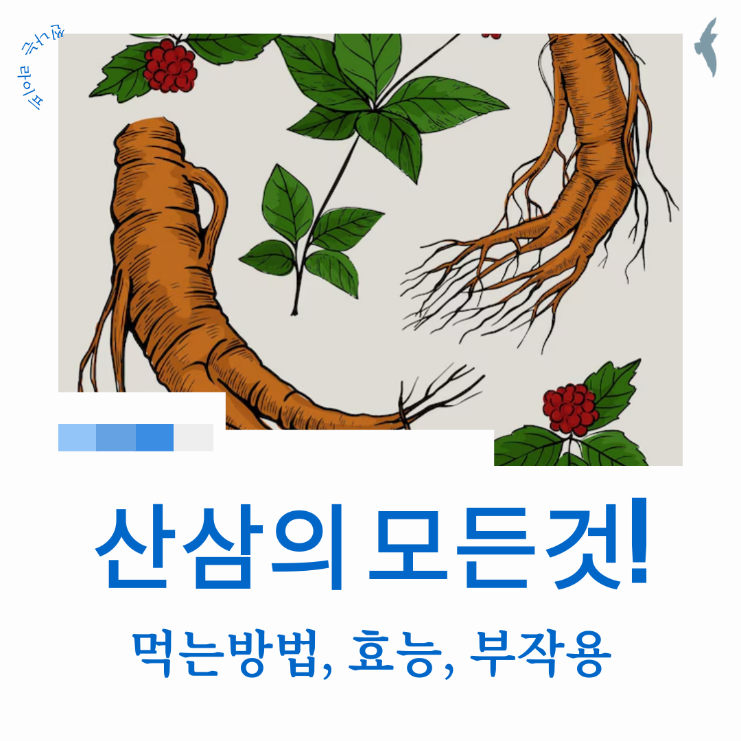 산삼 효능과 먹는 방법 : 부작용까지 싹 정리!