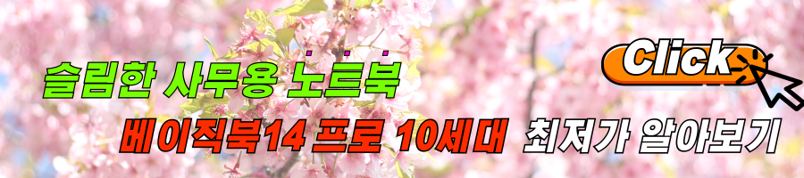 사무용 가성비노트북 베이직스 2023 베이직북14 프로 후기 및 최저가 링크 알아보기