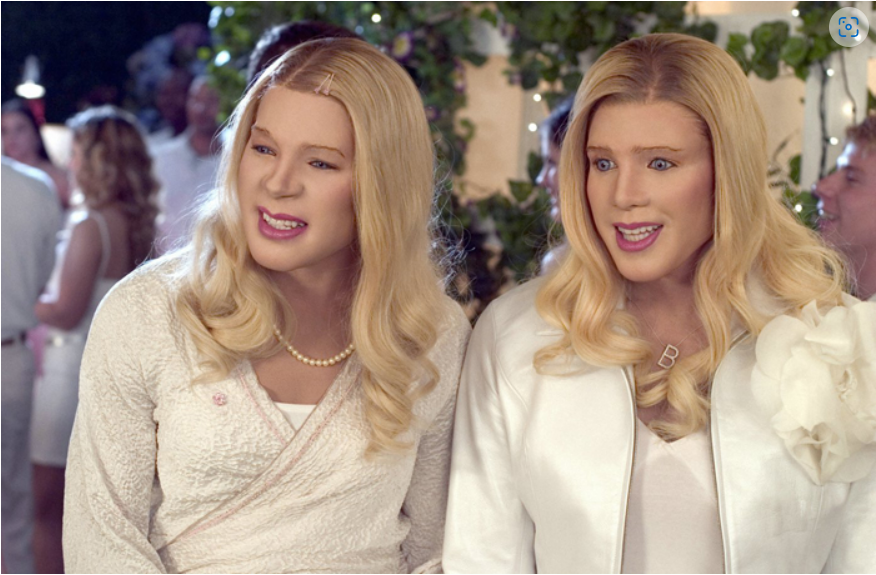 화이트 칙스 (White chicks, 2004) ; 넷플릭스 영화