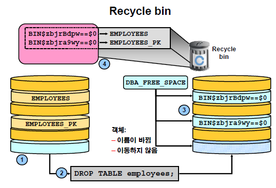  Oracle 5 Page s Study Project Repository