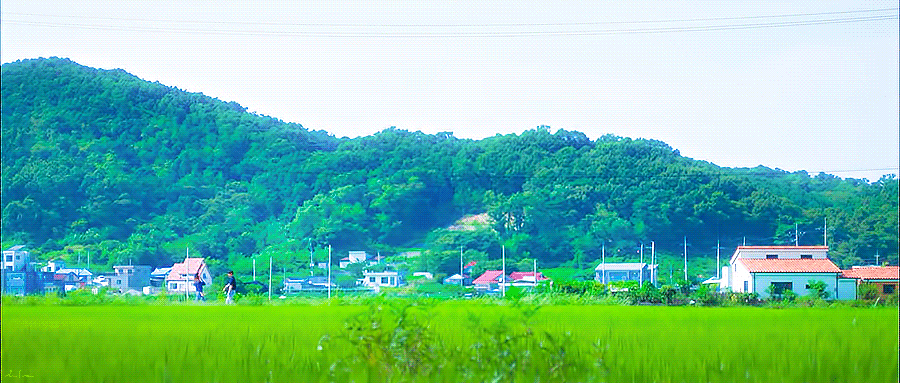 ?scode=mtistory2&fname=https%3A%2F%2Fblo