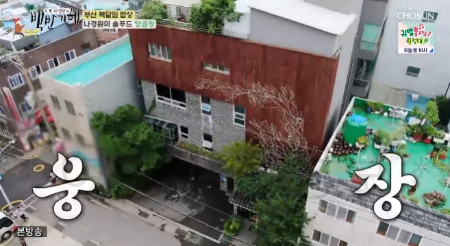 백반기행 부산 양곱창, 우동, 3대 양곱창 파는 곳 식당 어디? 나경원의 솔푸드 209회 7월 28일 2 ywAAAAAAQABAAACAUwAOw==