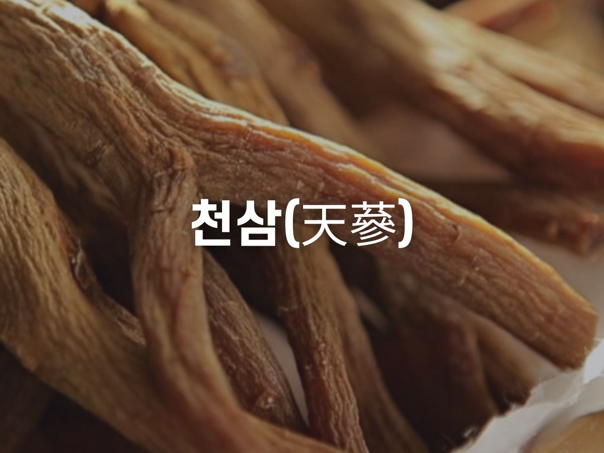 인삼 종류와 홍삼 등급 (천삼, 지삼, 양삼)