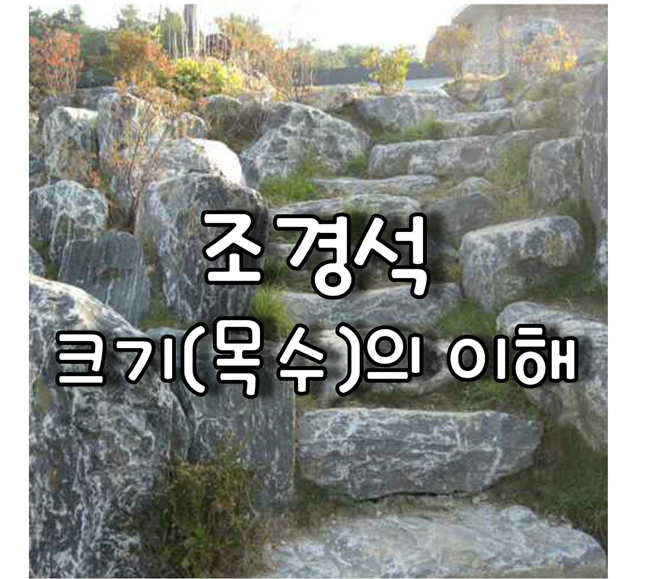 1. 조경석 목도 또는 목수란...?