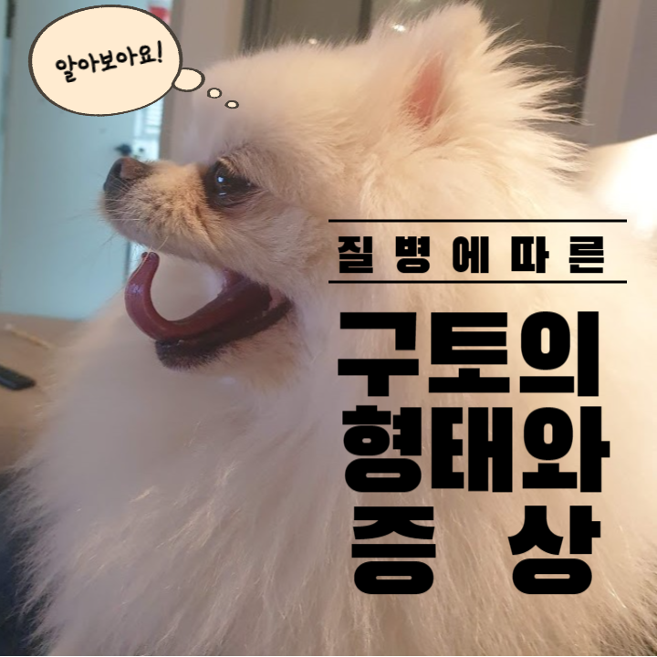 강아지 구토 증상 : 이럴 땐 병원에 가세요! 1 강아지 구토-질병에 따른 형태