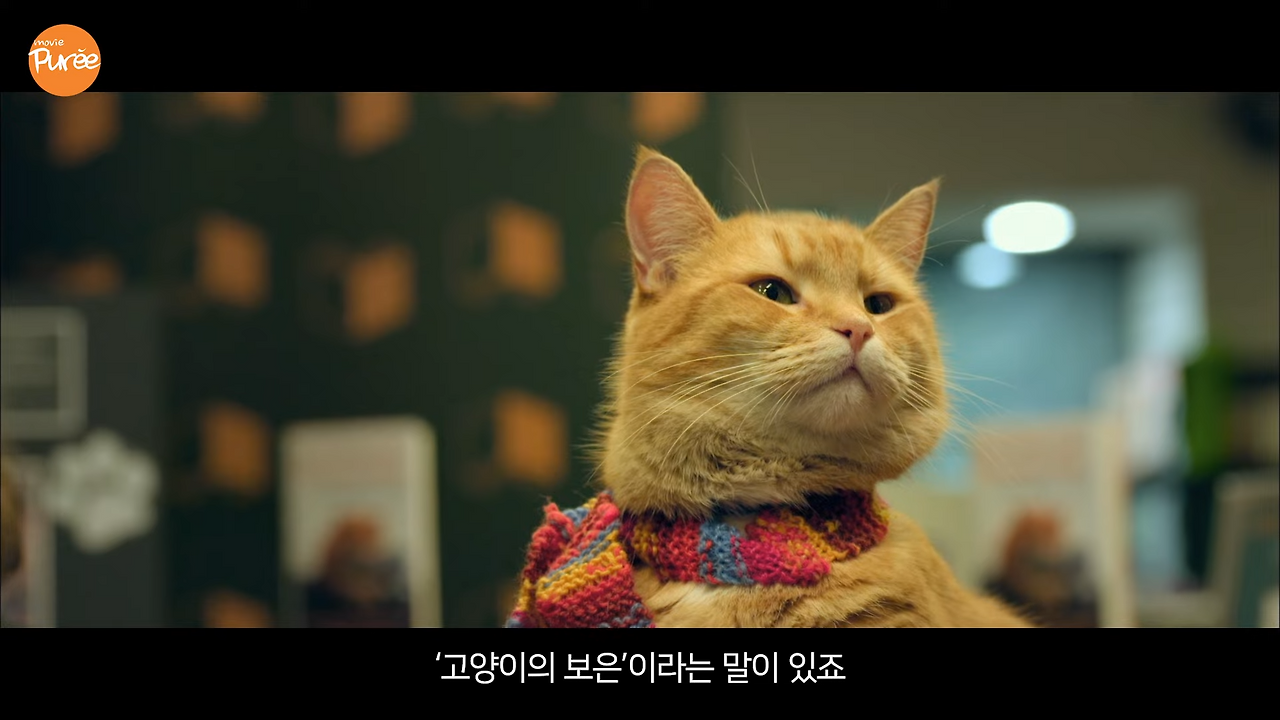 내 어깨 위 고양이, 밥
