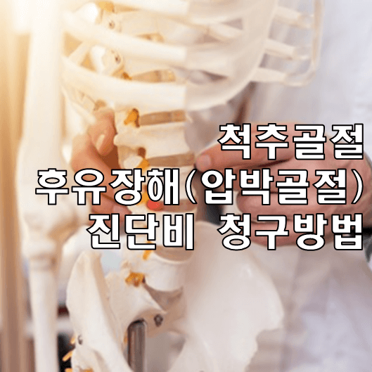 척추 압박골절 후유장해 진단비 썸네일