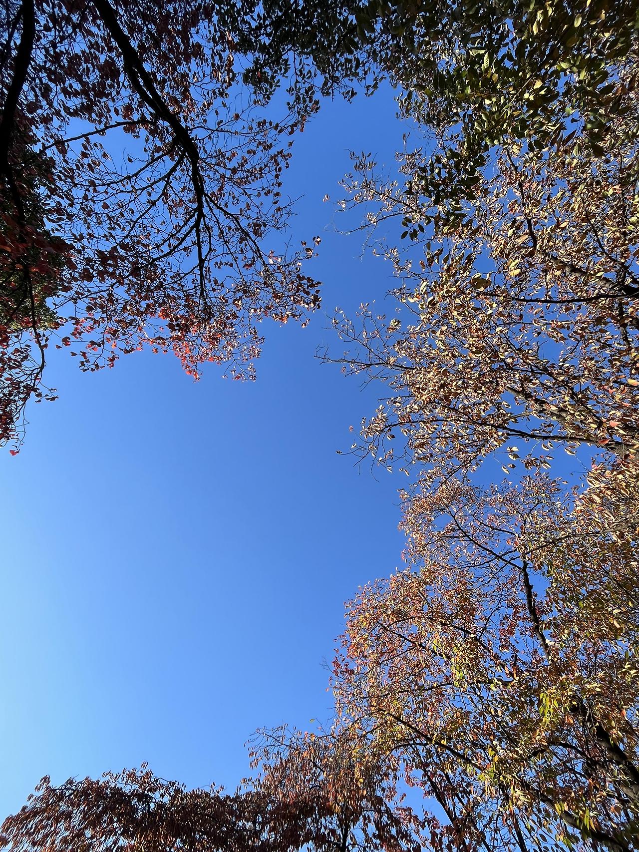 ?scode=mtistory2&fname=https%3A%2F%2Fblo