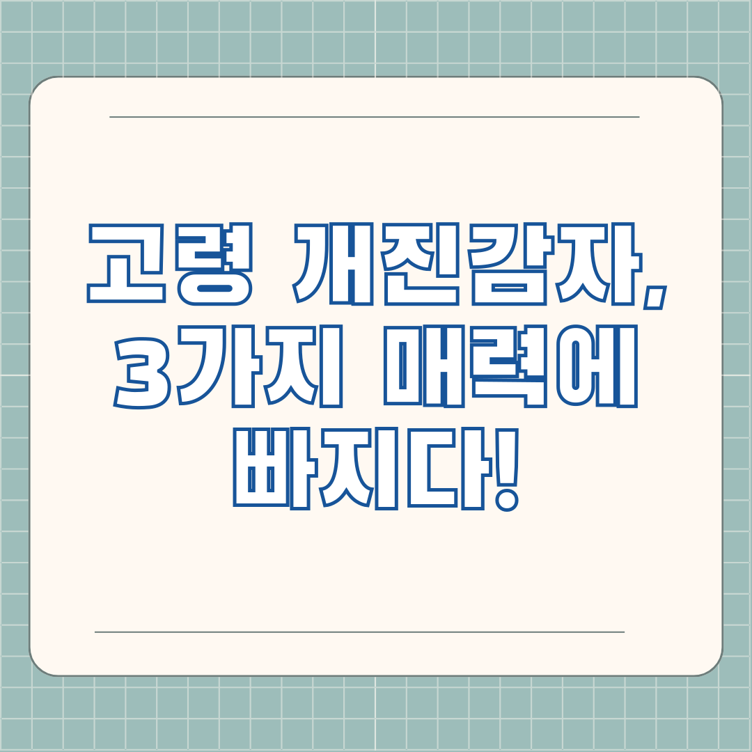 고령 개진감자, 3가지 매력에 빠지다!