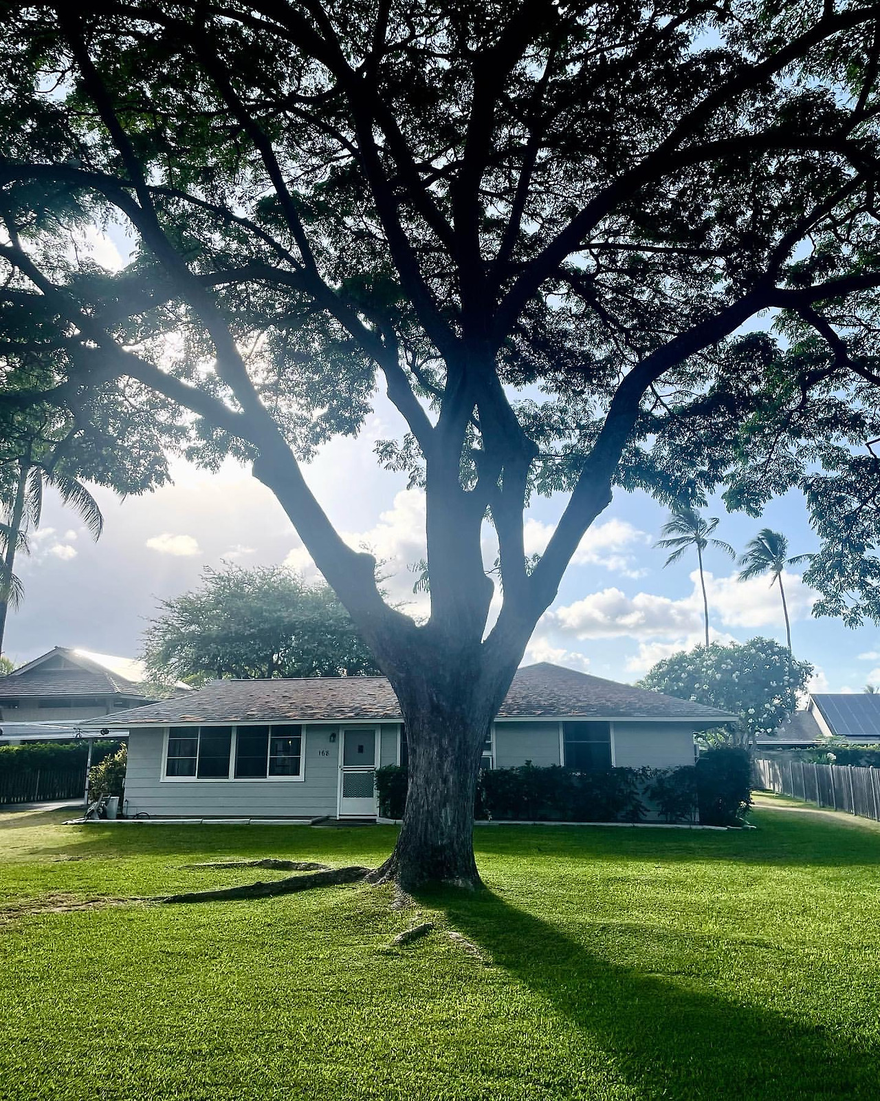 ?scode=mtistory2&fname=https%3A%2F%2Fblo