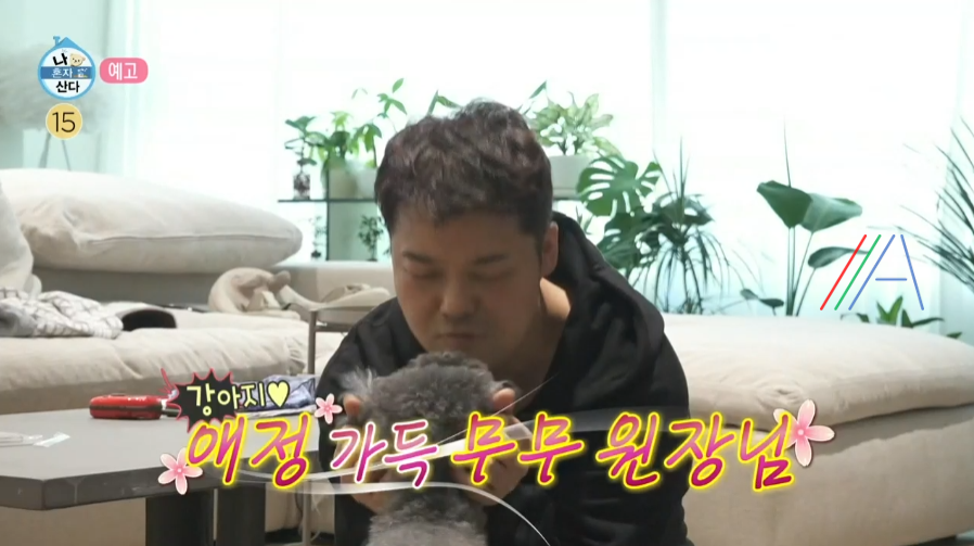 나 혼자 산다 전현무 강아지 갈비탕 레시피 만드는 방법 무무 유치원 꼼데와 가르송을 위한 간식&특식 1 ywAAAAAAQABAAACAUwAOw==