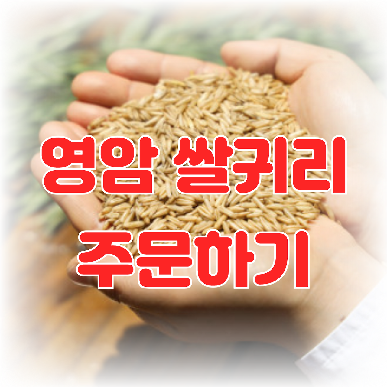 아로스 팝업