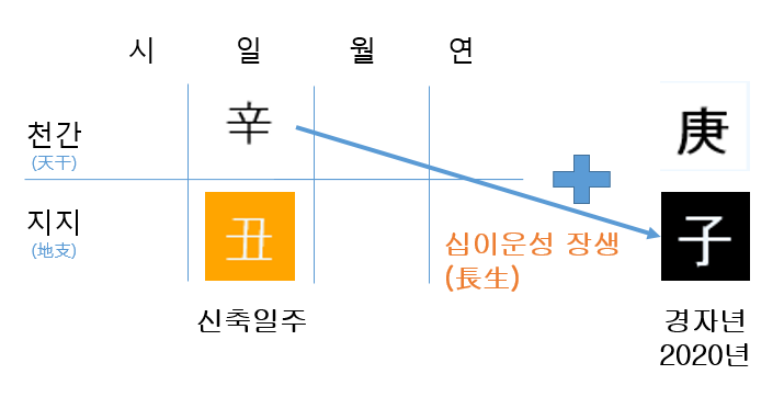 2020년 경자년 운세(신축일주)