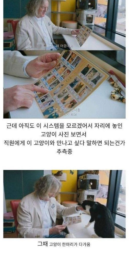 ?scode=mtistory2&fname=https%3A%2F%2Fblog.kakaocdn.net%2Fdn%2FclGJf3%2FbtrE6zjjYbt%2F4vHg4pCa2UpwKJ3G6dkUoK%2Fimg.jpg