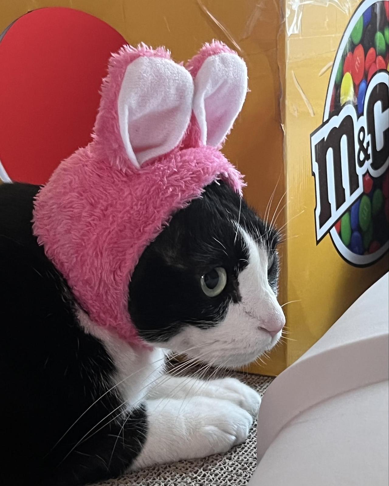 ?scode=mtistory2&fname=https%3A%2F%2Fblo