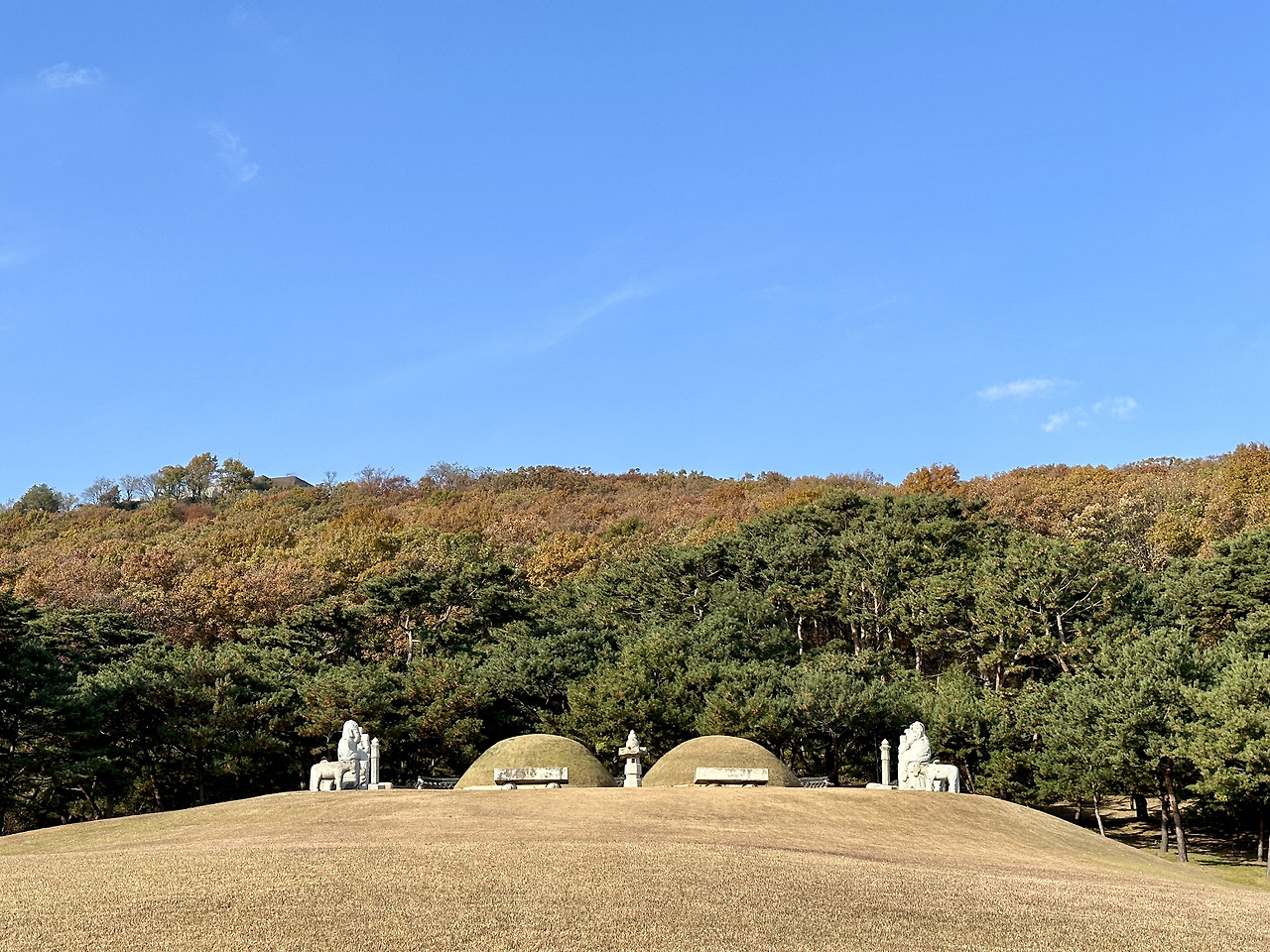 김포 장릉 | 김포장릉 세계문화유산 | 김포 장릉 아파트