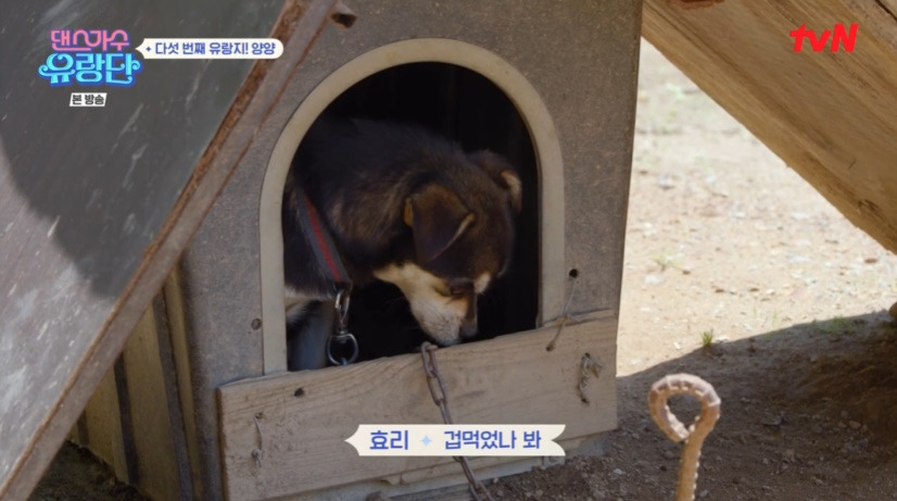 댄스가수 유랑단 양양 막국수, 수육, 도토리묵 식당 촬영지 정보 - 8회 7월 13일 다섯 번째 유랑지 7 ywAAAAAAQABAAACAUwAOw==