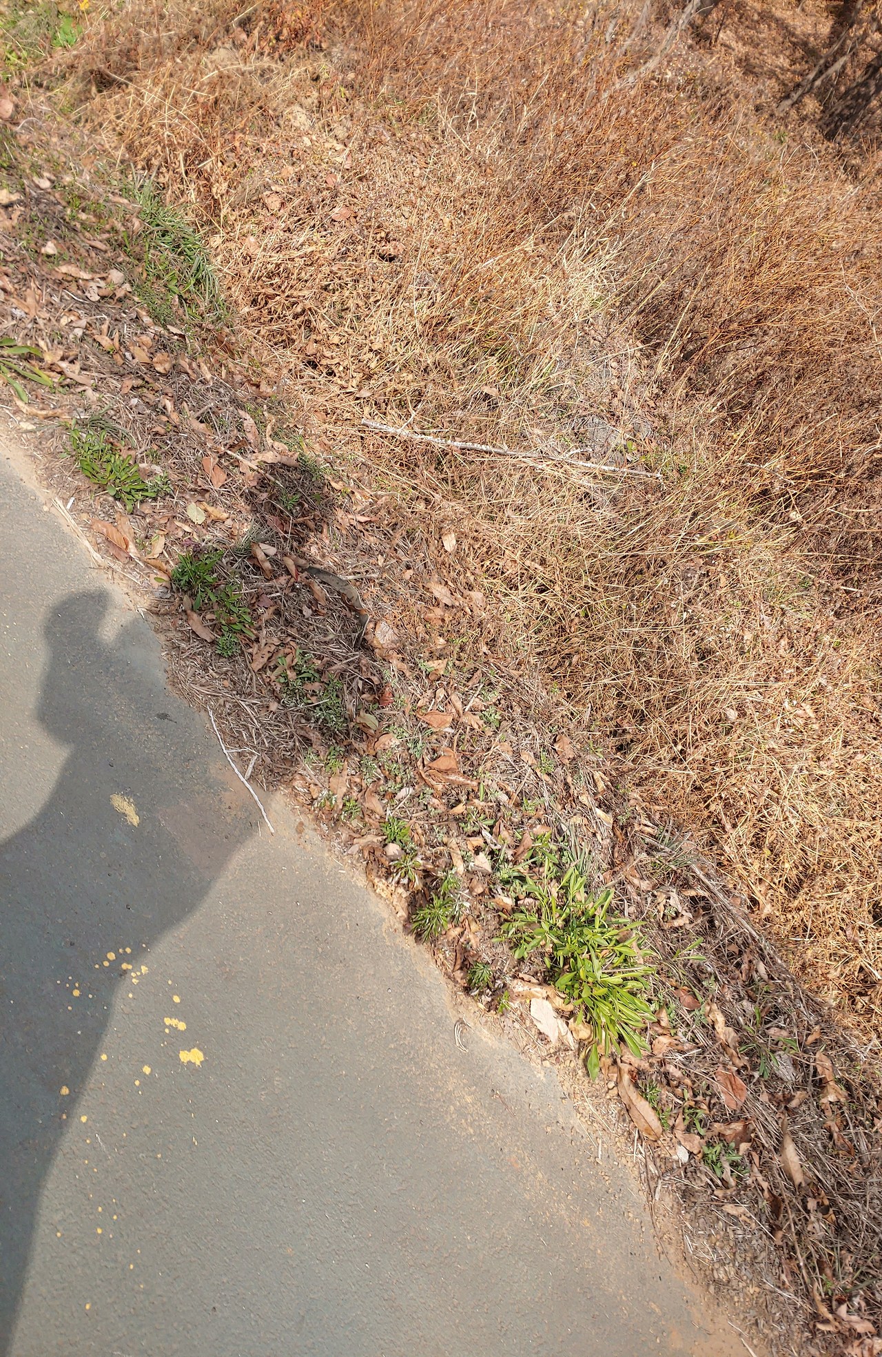 4km