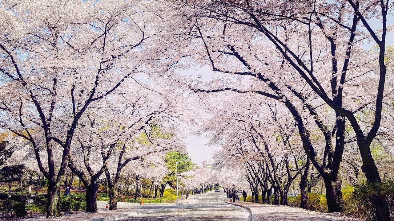 지리산 국립공원 홈페이지 살펴보기(www.knps.or.kr)
