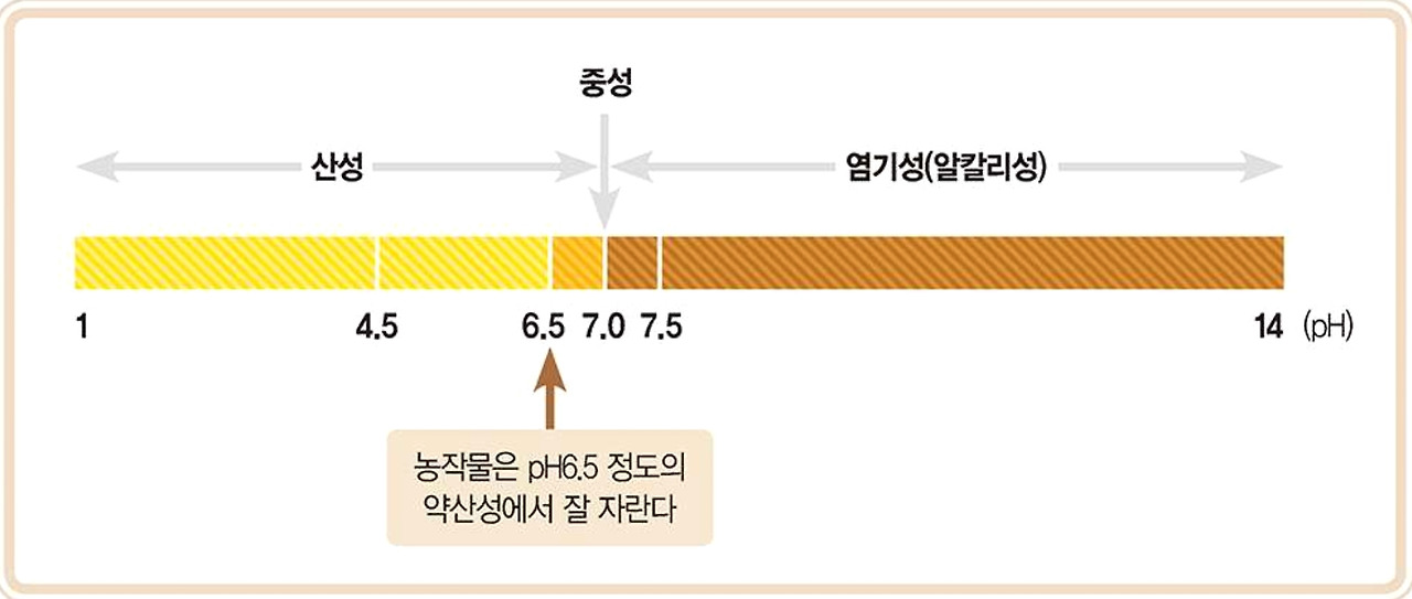 초보 농사꾼 농사지을때 좋은 흙 고르는 방법 4 ywAAAAAAQABAAACAUwAOw==