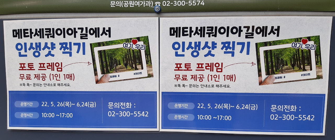 2.2km 연초록빛 향연! 월드컵공원 메타세쿼이아길 7 ywAAAAAAQABAAACAUwAOw==