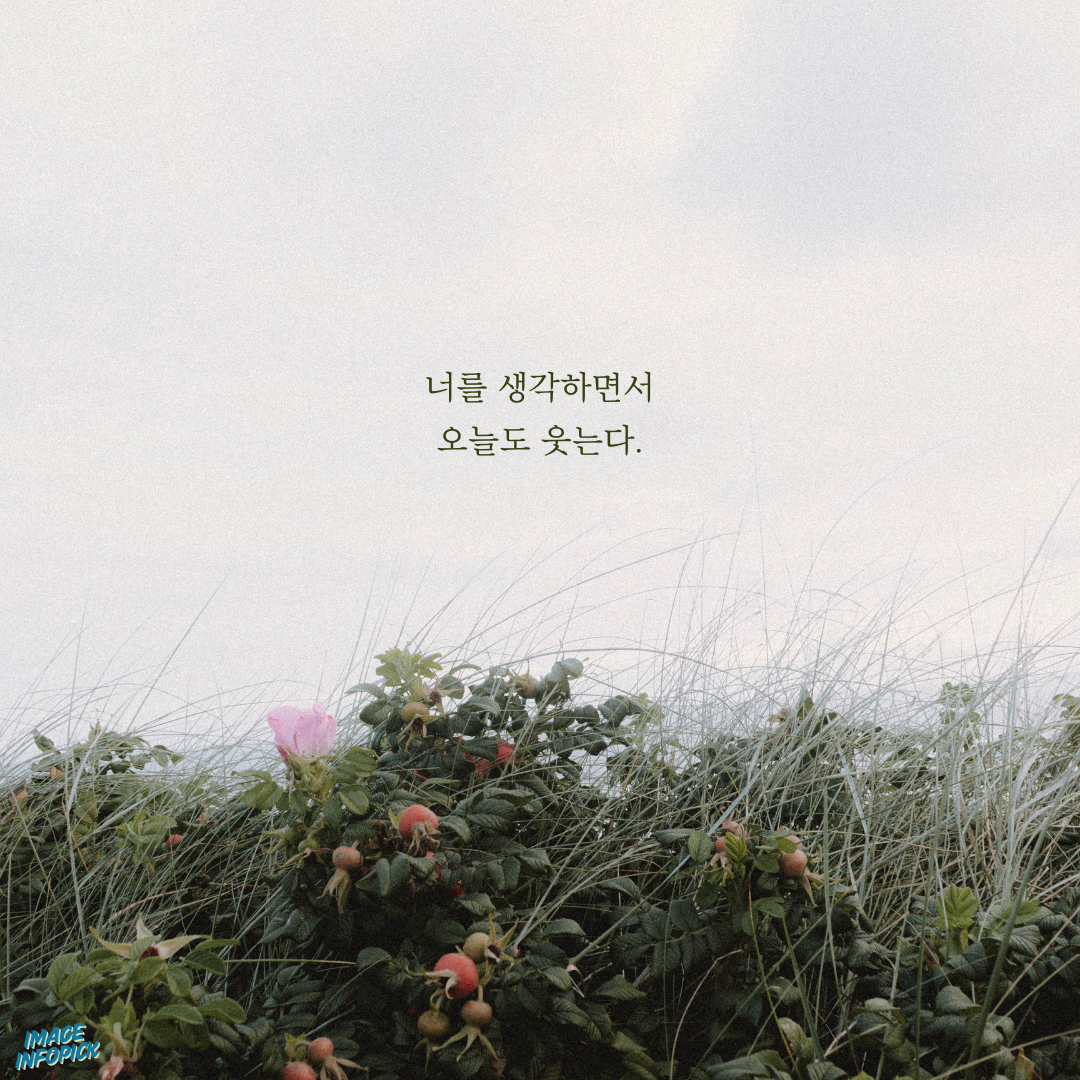 카톡 좋은 글귀 감성 글귀 이미지 모음