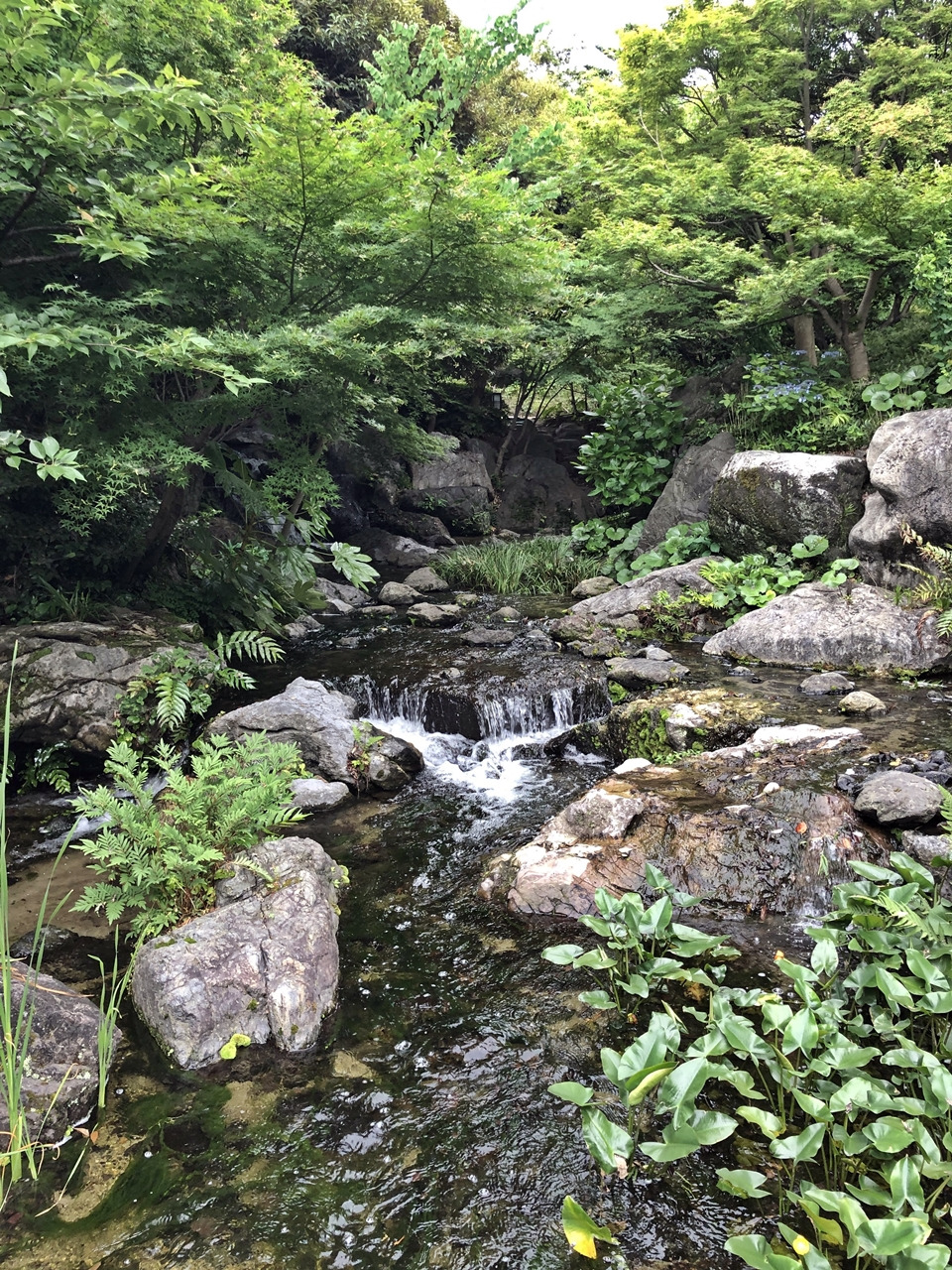 부산 출발 나고야 2박3일 여행 (1일차) : 나고야 시내투어 10 ywAAAAAAQABAAACAUwAOw==