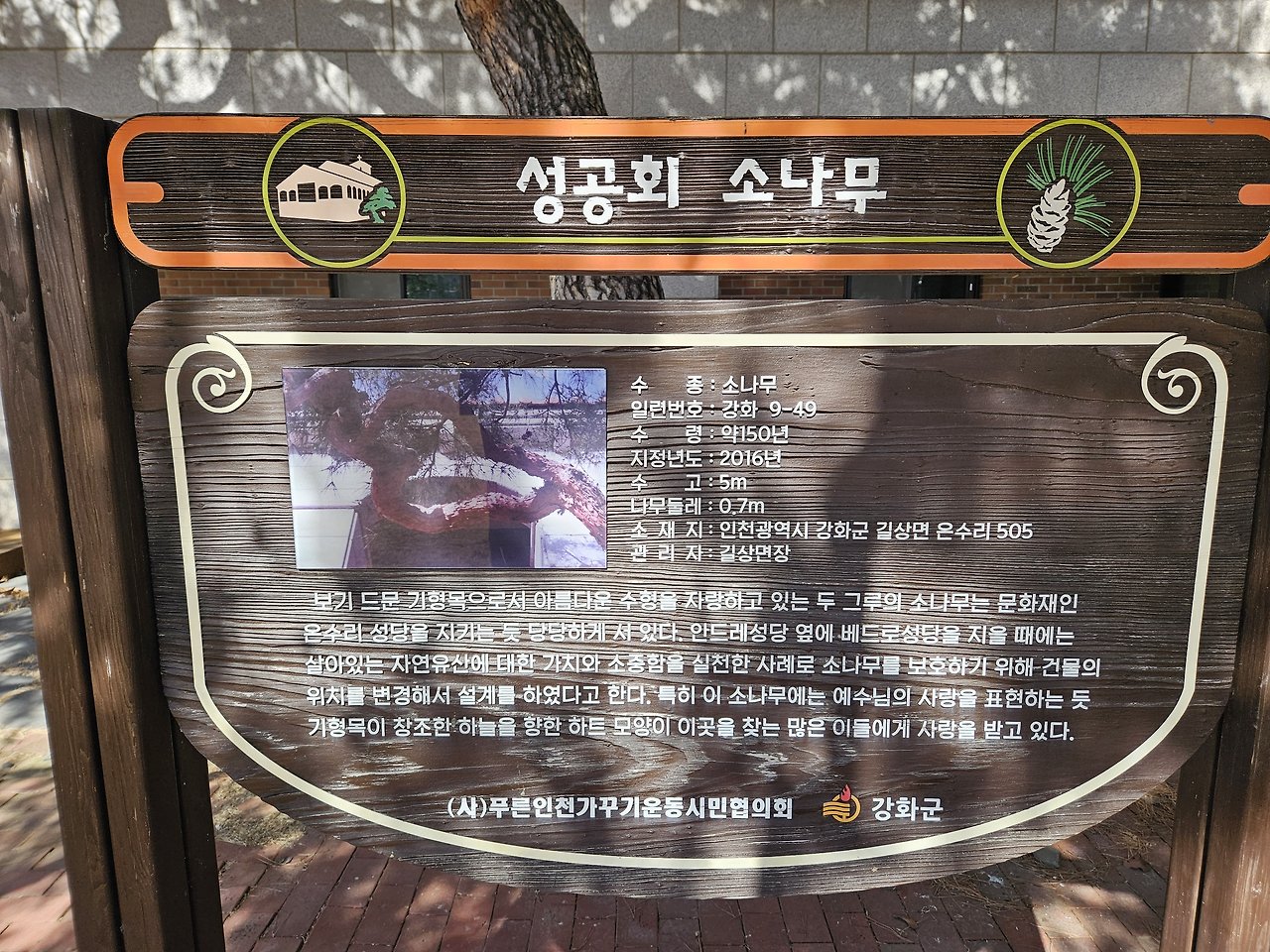 강화도 가볼만한곳 :: 온수리 성공회 성안드레 한옥성당 22 ywAAAAAAQABAAACAUwAOw==