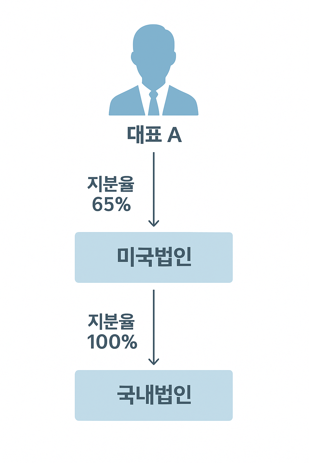 지배구조도