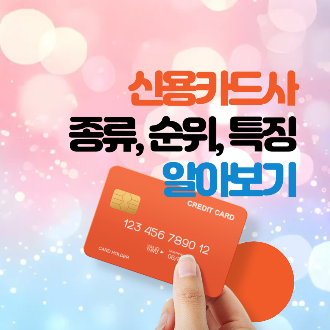신용카드사 종류, 순위와 특징 총정리 (+체크카드)