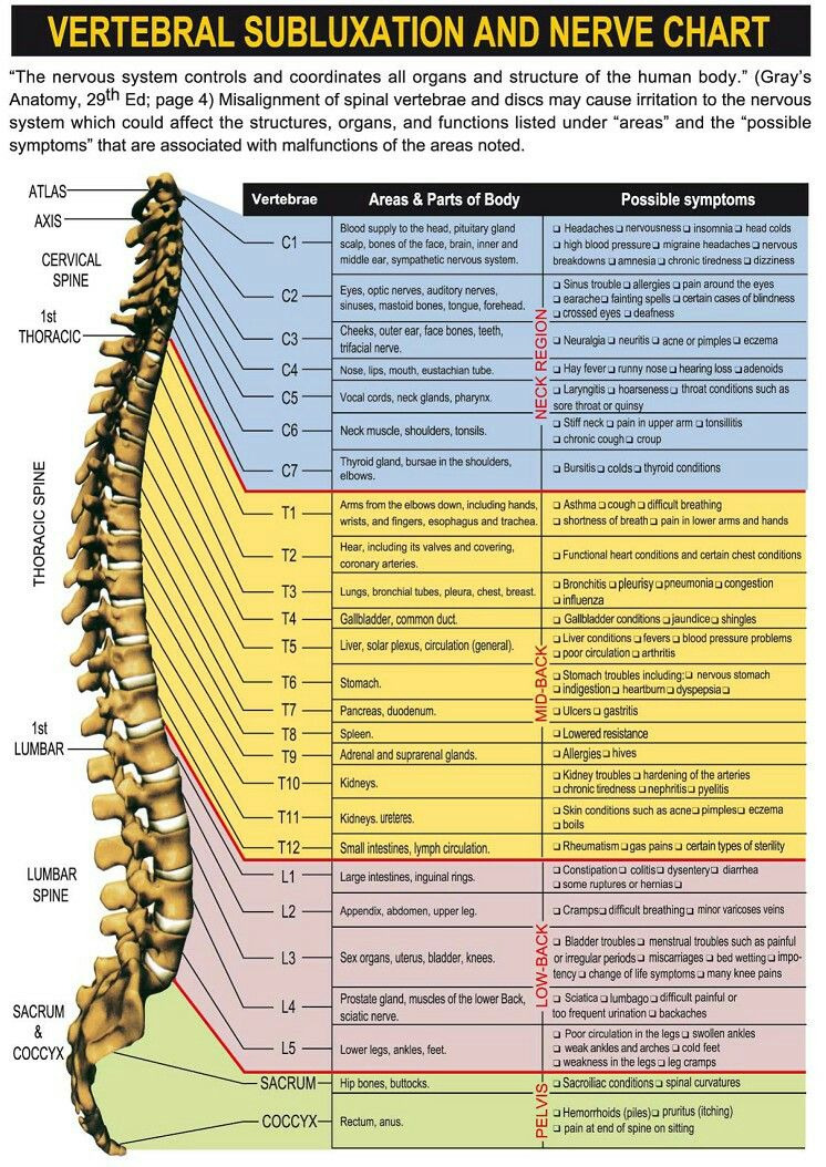 spinal misalignment chart