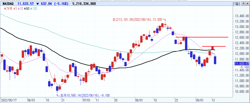 2022/09/14 :: 8월 CPI 8.3% 상승, 연준 금리 대폭 인상 가능성 2 ywAAAAAAQABAAACAUwAOw==