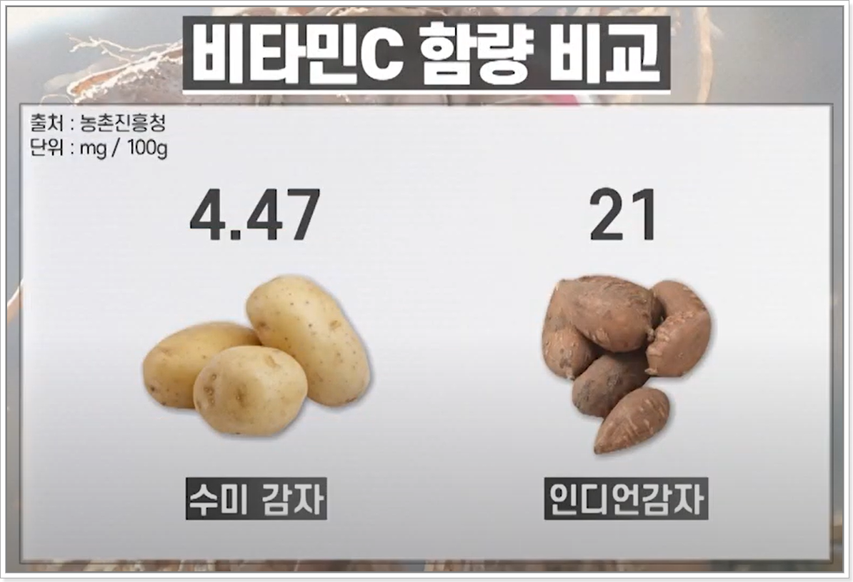 인디언 감자 효능 , 혈관비누라 알려져 혈관 속 지방과 염증 배출에 탁월하다.