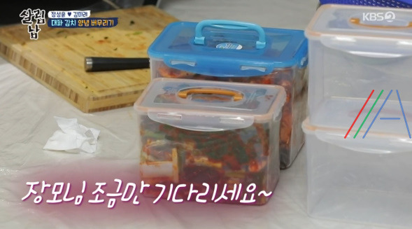 살림남 마약 김치 양념장, 총각무 김치 & 대파 김치 담그기 만들기 만드는 법 레시피, 정성윤 임성근 김장 김치 담그는법 만들기 레시피 - 2시간 김장김치 + 비법 양념장 24 ywAAAAAAQABAAACAUwAOw==