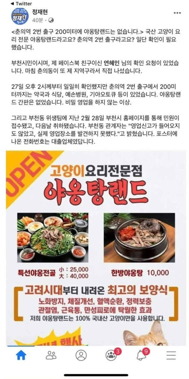 공포의 고양이 요리 전문점