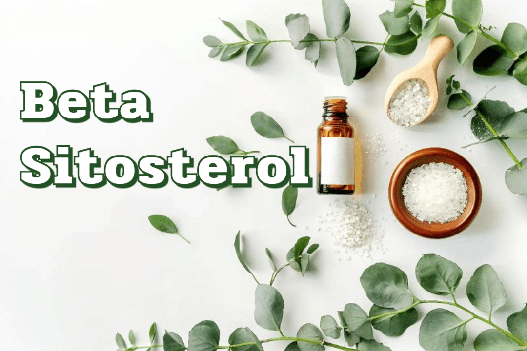 콜레스테롤 관리의 동반자, 베타 시토스테롤 1 Beta-sitosterol