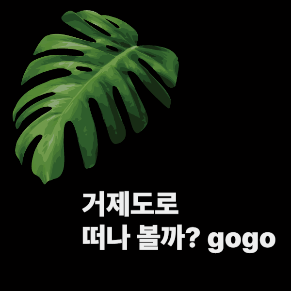 아로스 팝업