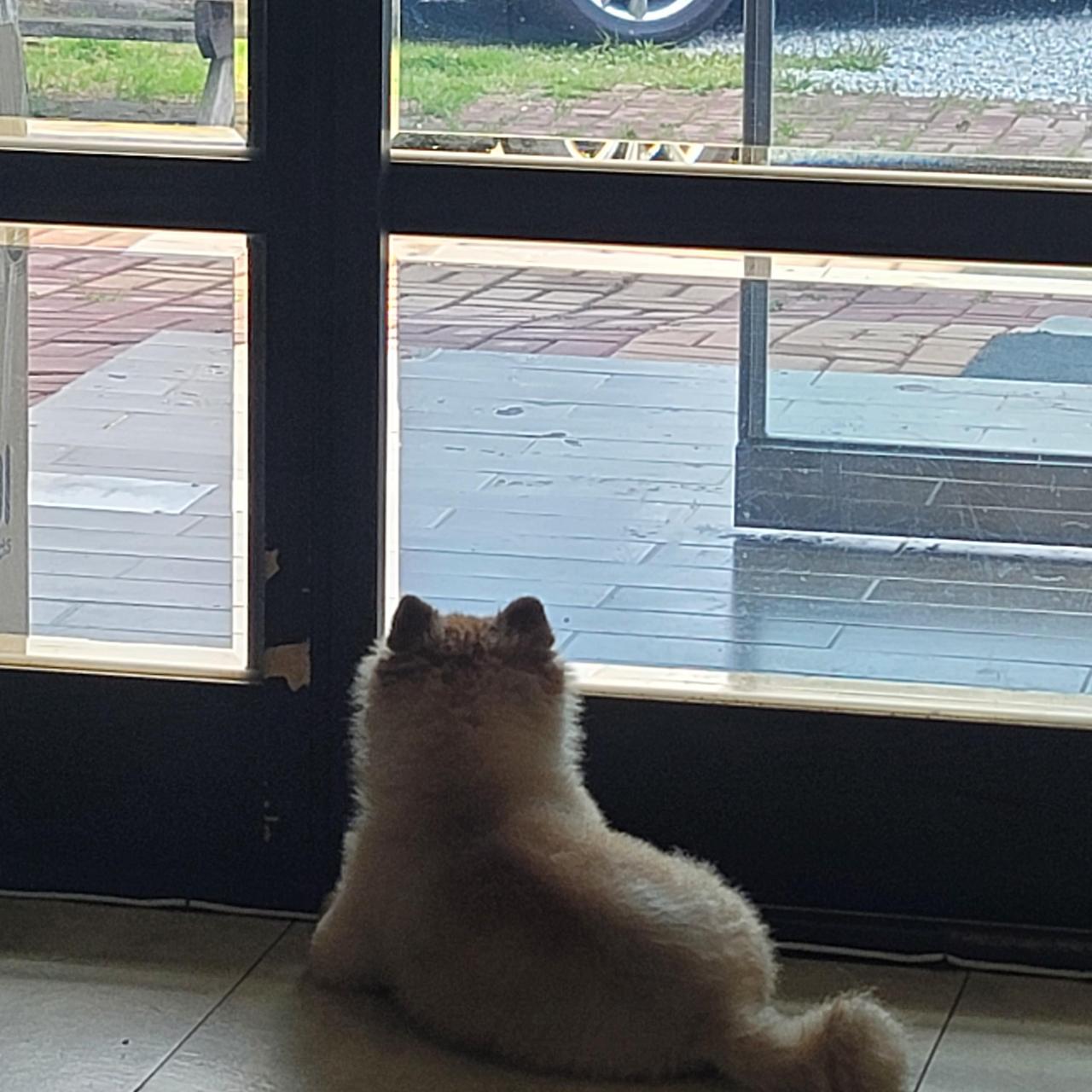 ?scode=mtistory2&fname=https%3A%2F%2Fblo