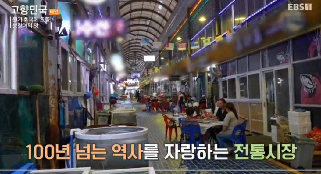고향민국 원기 회복에 으뜸 붕장어의 맛 태안 시장 붕장어 가게 어디? 2 ywAAAAAAQABAAACAUwAOw==