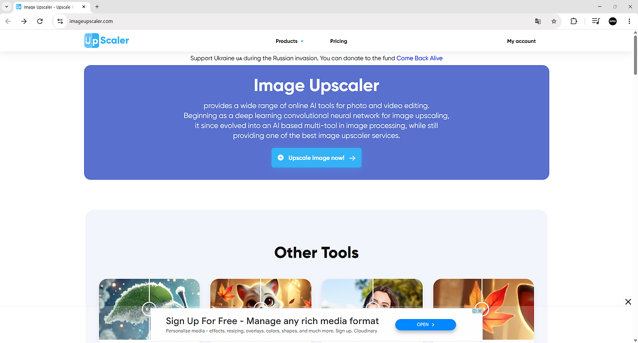 Image Upscaler 무료로 이미지 사이즈 4배 키우기