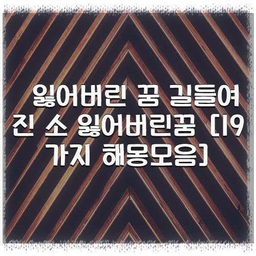 잃어버린 꿈 길들여진 소 잃어버린꿈 [19가지 해몽모음]