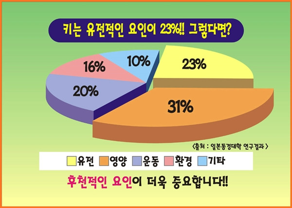 서정키박사 이야기 :: 성장판 닫히는 시기 키크는 법