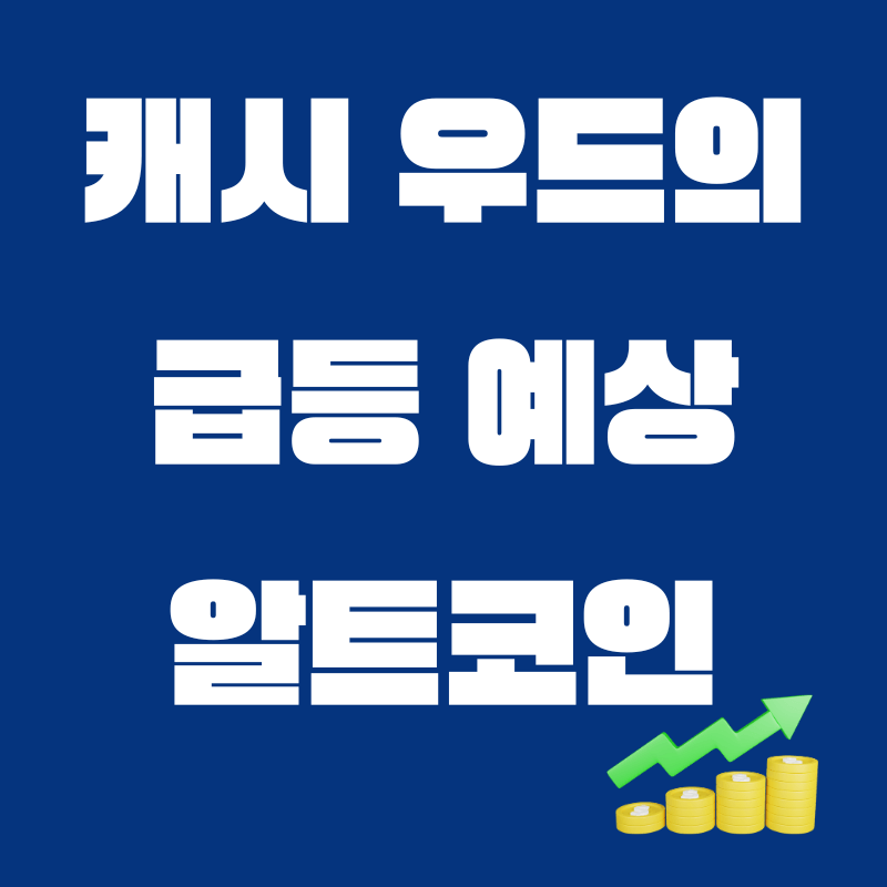 아로스 팝업