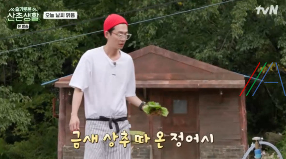 슬기로운산촌생활 상추겉절이 만들기 레시피 4 ywAAAAAAQABAAACAUwAOw==