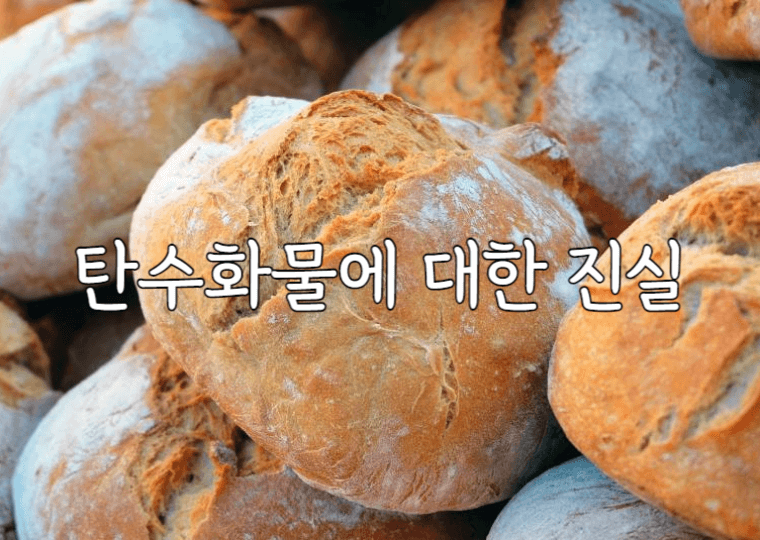 탄수화물에 대한 진실(carbohydrate) 1 탄수화물에 대한 진실