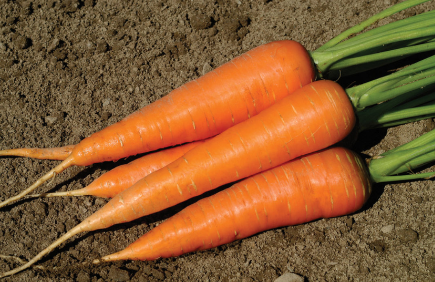 Learn about the 10 effects and side effects of spinach