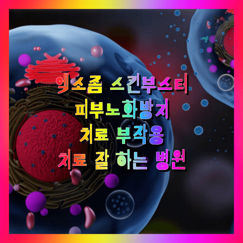 엑소좀 asce+ 스킨부스터 피부노화방지 시술치료 부작용 및 가격 / 치료 잘 하는 병원 (노화방지 약, 기술, 화장품 영양제)