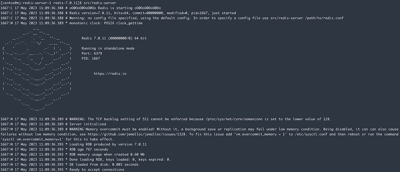 Redis warning devspace